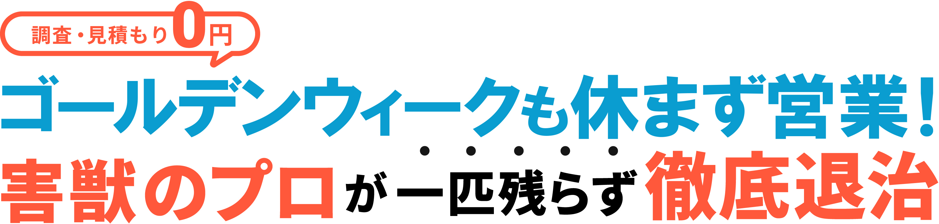 調査・見積もり0円　害獣のプロが一匹の残らず徹底退治