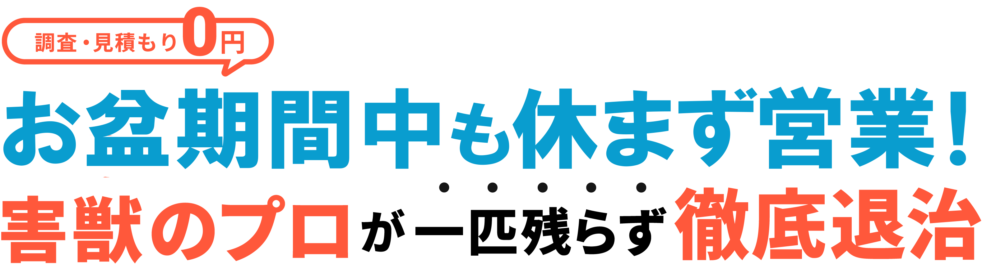 調査・見積もり0円　害獣のプロが一匹の残らず徹底退治