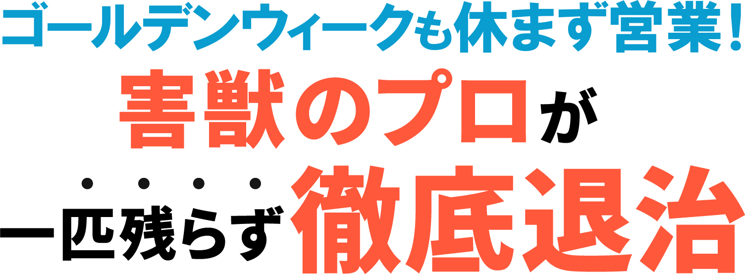 害獣のプロが一匹の残らず徹底退治