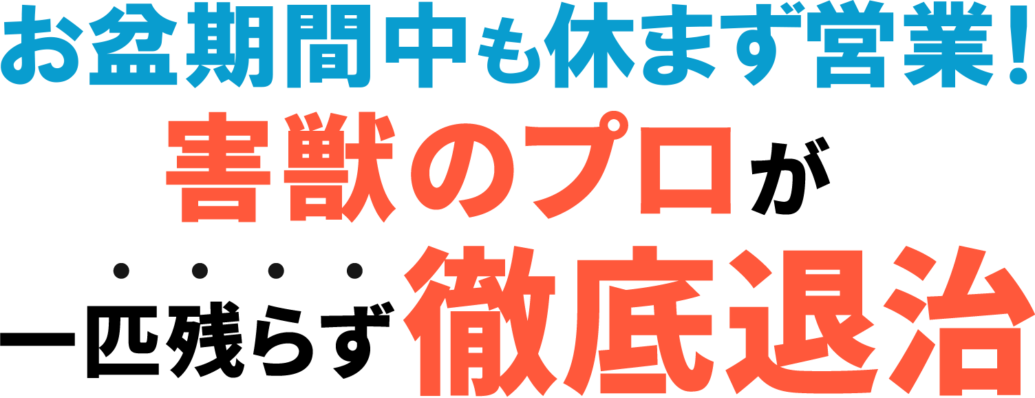 害獣のプロが一匹の残らず徹底退治