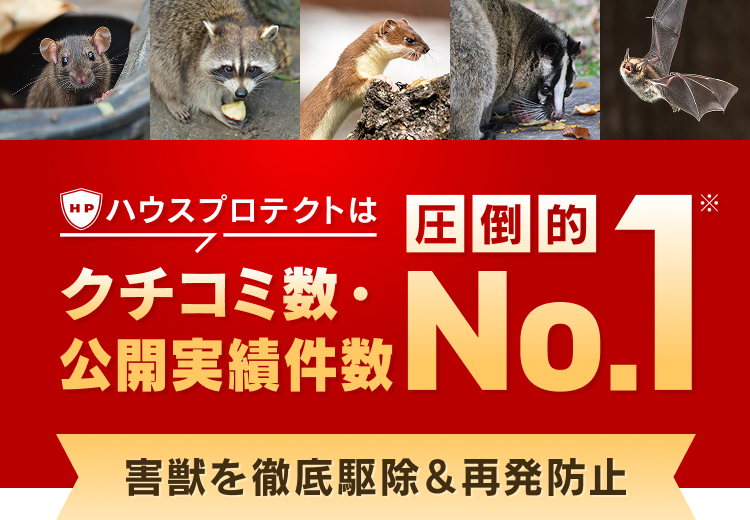 ハウスプロテクトはクチコミ数・公開実績件数圧倒的No.1 害獣を徹底駆除＆再発防止