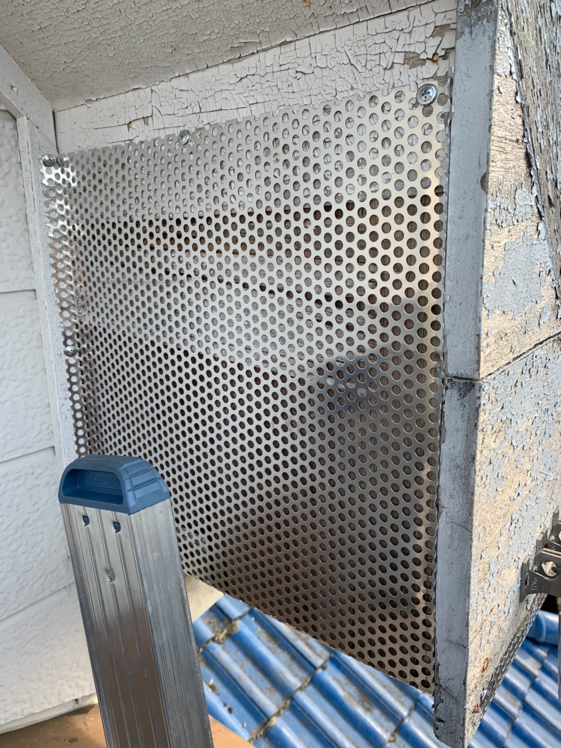 その他害獣 害虫駆除の実績 害獣駆除ならハウスプロテクト 再発を徹底的に防止 ネズミ イタチ ハクビシン対策ならお任せください