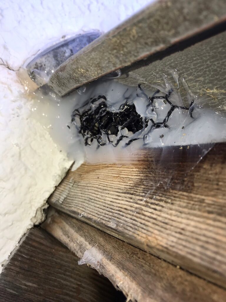 彦根市の戸建てで外壁と軒の境目のすき間を金網とコーキングでふさいだネズミ対策の施工写真