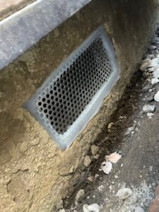 文京区E様邸　ネズミ対策施工