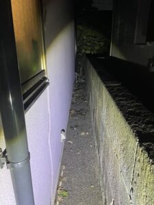 町田市K様邸　ネズミ対策施工