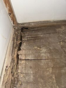 保護中: 奈良市M様邸　ネズミ対策施工