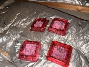 千葉県市川市I様邸　ネズミ対策施工