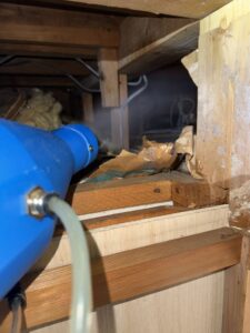 東京都江戸川区M様　ネズミ対策施工