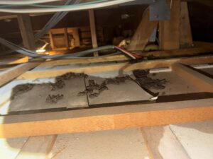 兵庫県宝塚市Y様邸　イタチ対策施工