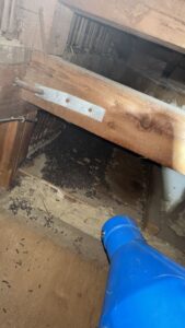 京都府長岡京市F様邸　ネズミ対策施工