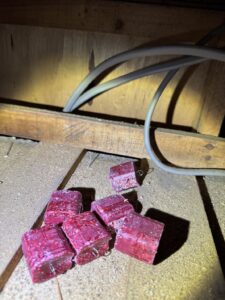 保護中: 愛知県名古屋市F様邸　ネズミ対策施工