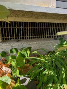 保護中: 神奈川県厚木市M様邸　ネズミ対策施工