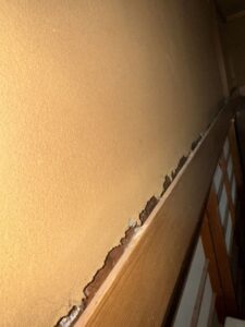 保護中: 埼玉県川口市K様邸　ネズミ対策施工