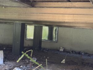 愛知県愛西市K様邸　ネズミ対策施工