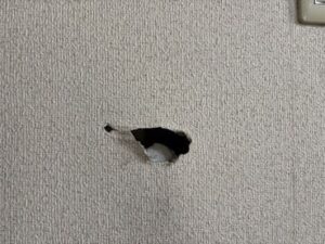 保護中: 神奈川県横浜市M様邸　ネズミ対策施工