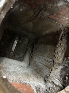 東京都杉並区G様邸　ネズミ対策施工