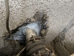 東京都練馬区E様邸　ネズミ対策施工