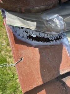 和歌山県海南市M様邸　イタチ対策施工