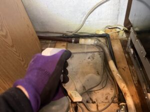 保護中: 高知県高知市H様邸　ネズミ対策施工