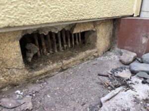東京都荒川区S様邸　ネズミ対策施工