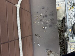奈良県天理市Y様邸　コウモリ対策施工